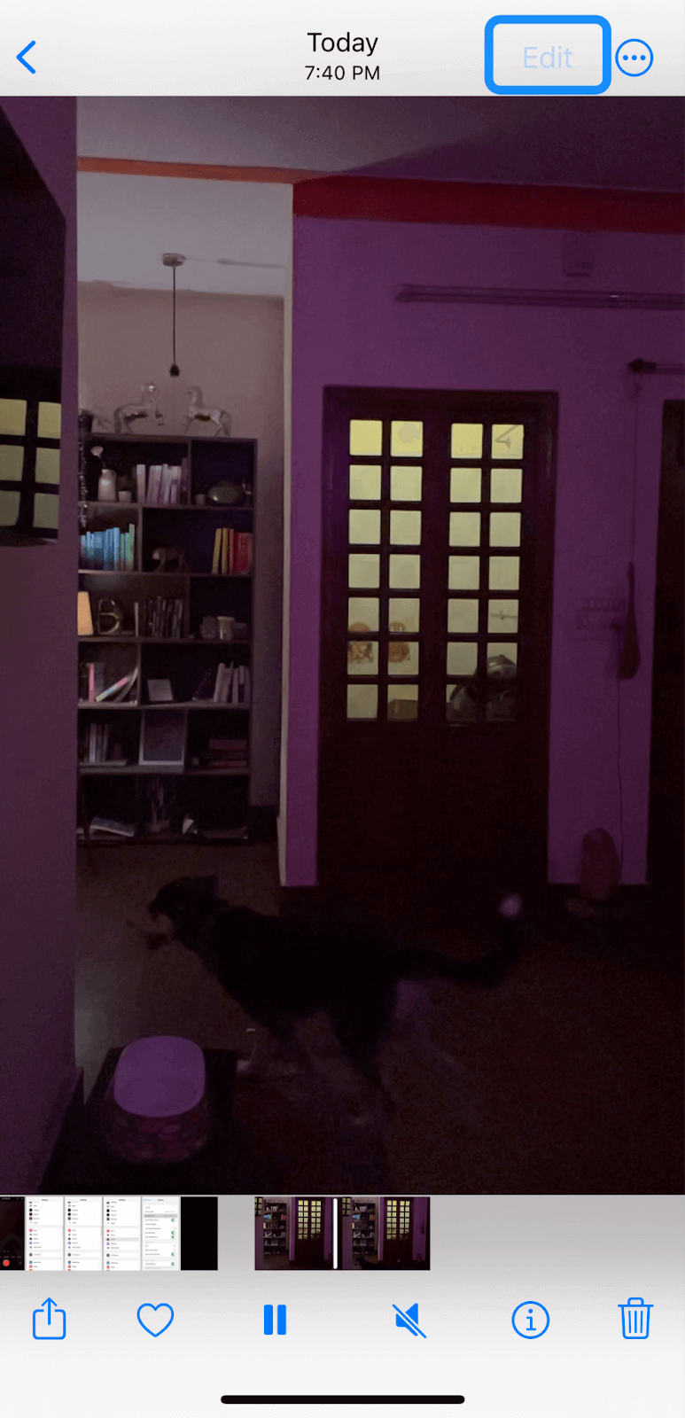 How to make a slow motion video on iPhone A 2024 guide