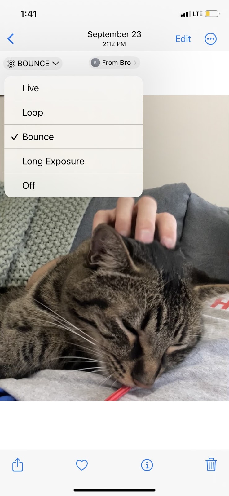 How to Make a GIF on Any Device in 3 Easy Steps