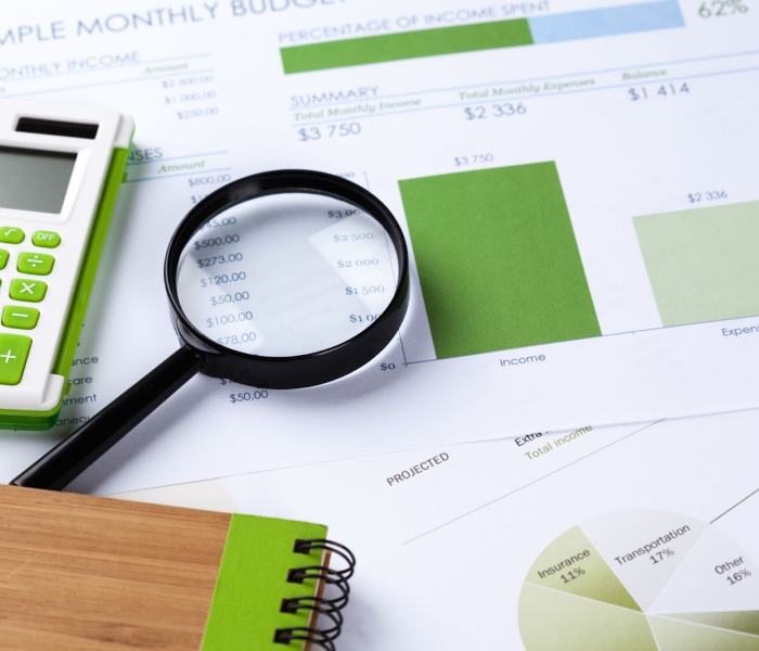 Defining Forensic Accounting: A Comprehensive Overview