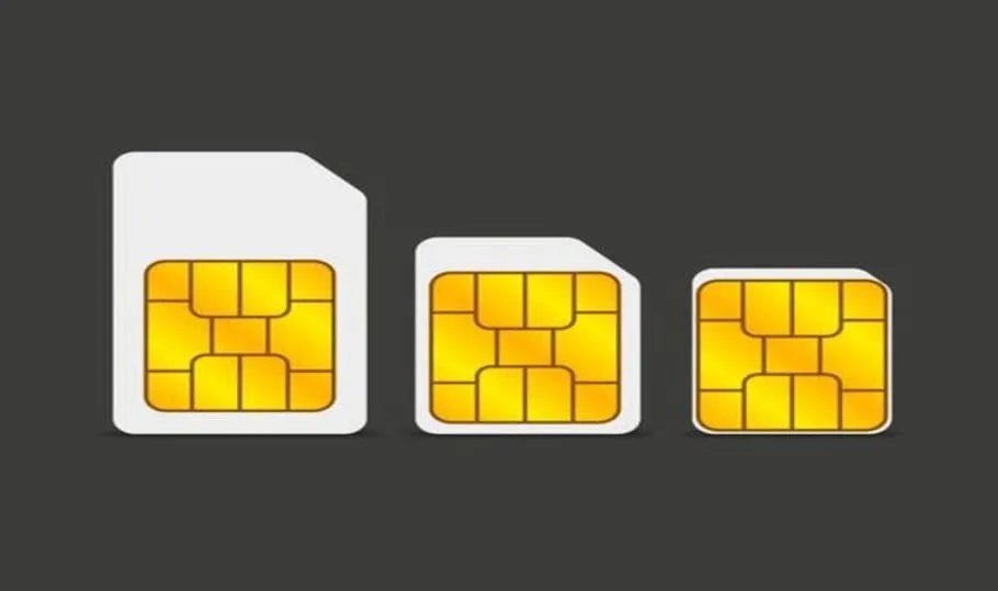 Qual a diferença entre chip, mini chip e nano chip