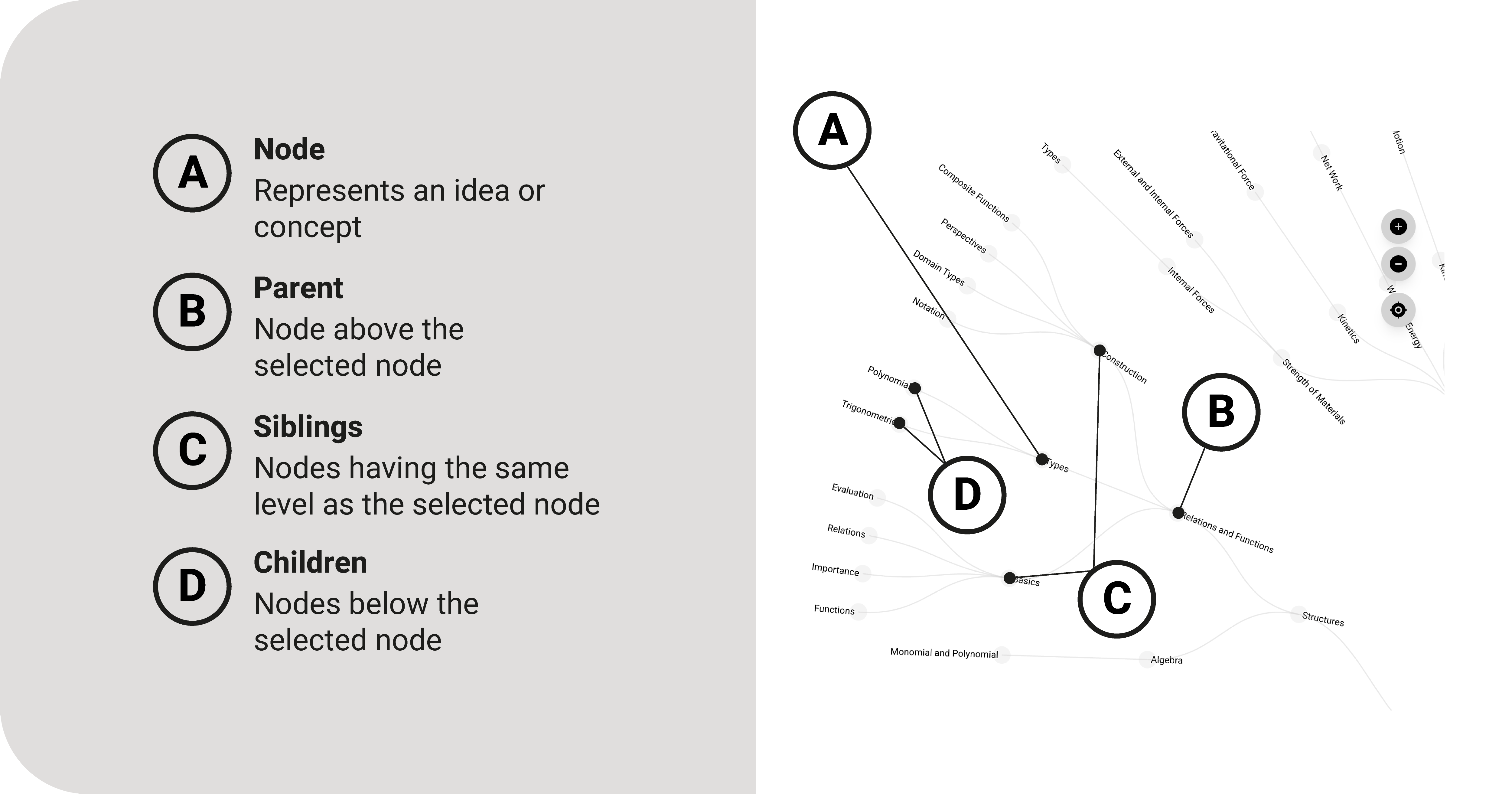 Tree Anatomy and User Interface | WeTheStudy