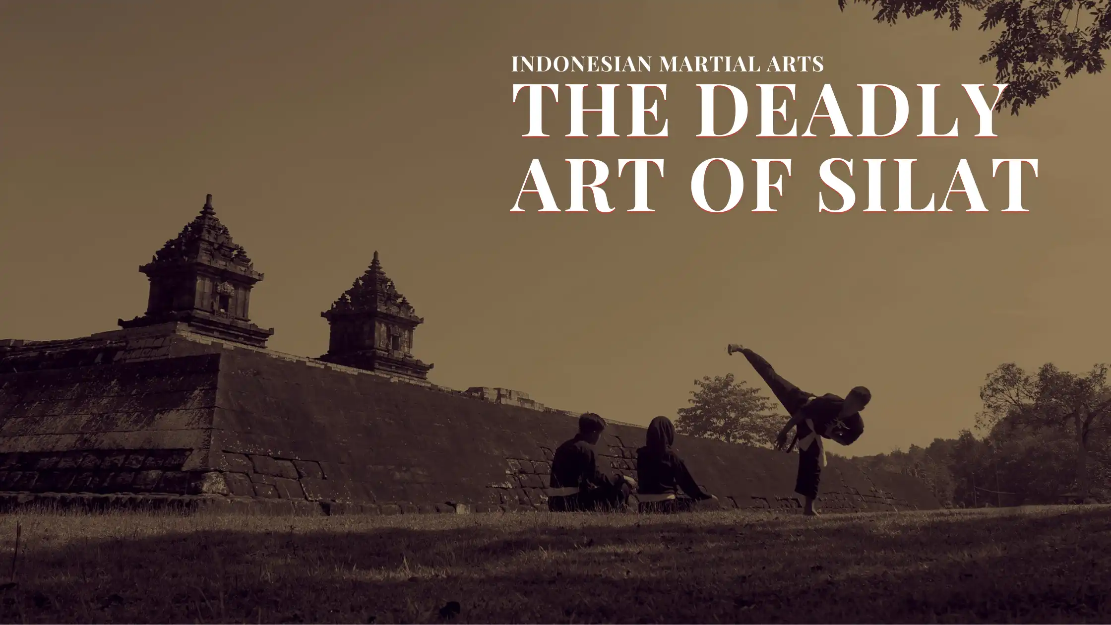 Indonesian Martial Arts The Deadly Art of Silat Martial Nerd