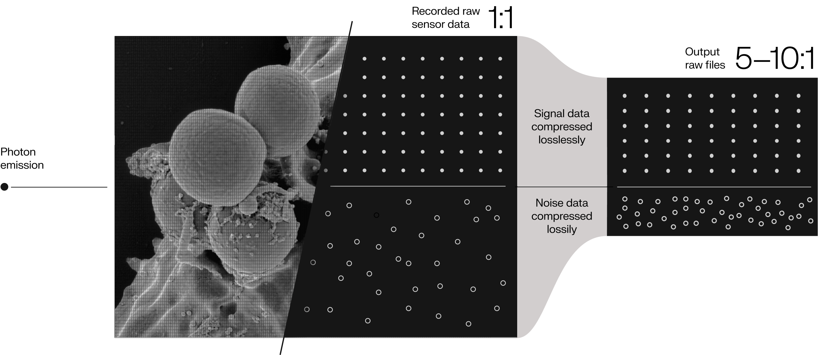 jetraw-core-raw-image-compression-for-optical-systems