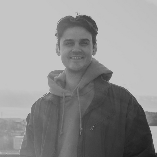 Nom Nom vs. The Farmer’s Dog vs. Ollie My Dog Reviewed All 3, But