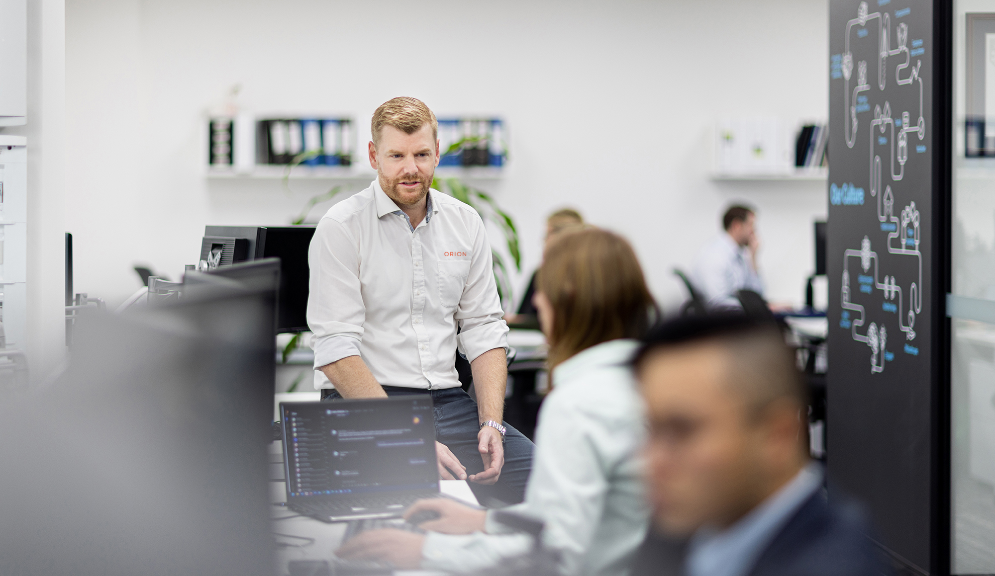 Image of Orion Consultant in office talking to a client