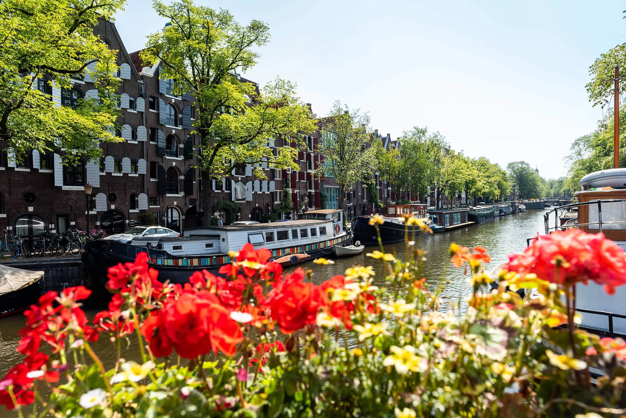 Work permit Netherlands Employor