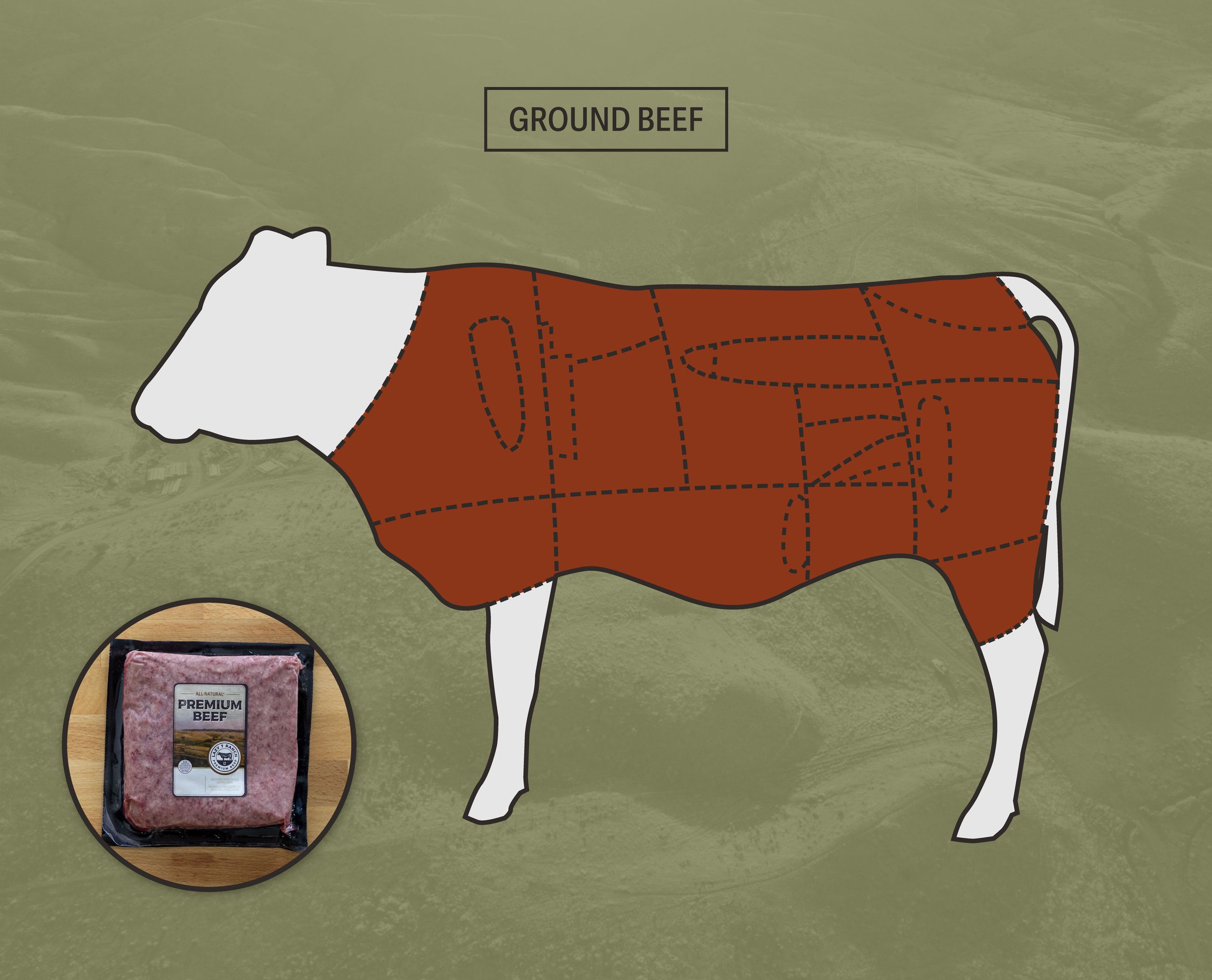 About Beef Cuts Lazy T Ranch Ten Sleep, Wyoming