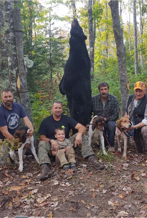 Michigan Bear Hunters Association Home