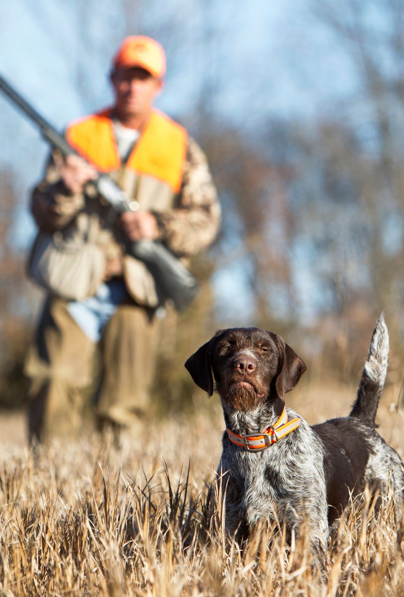 Hunter with hound