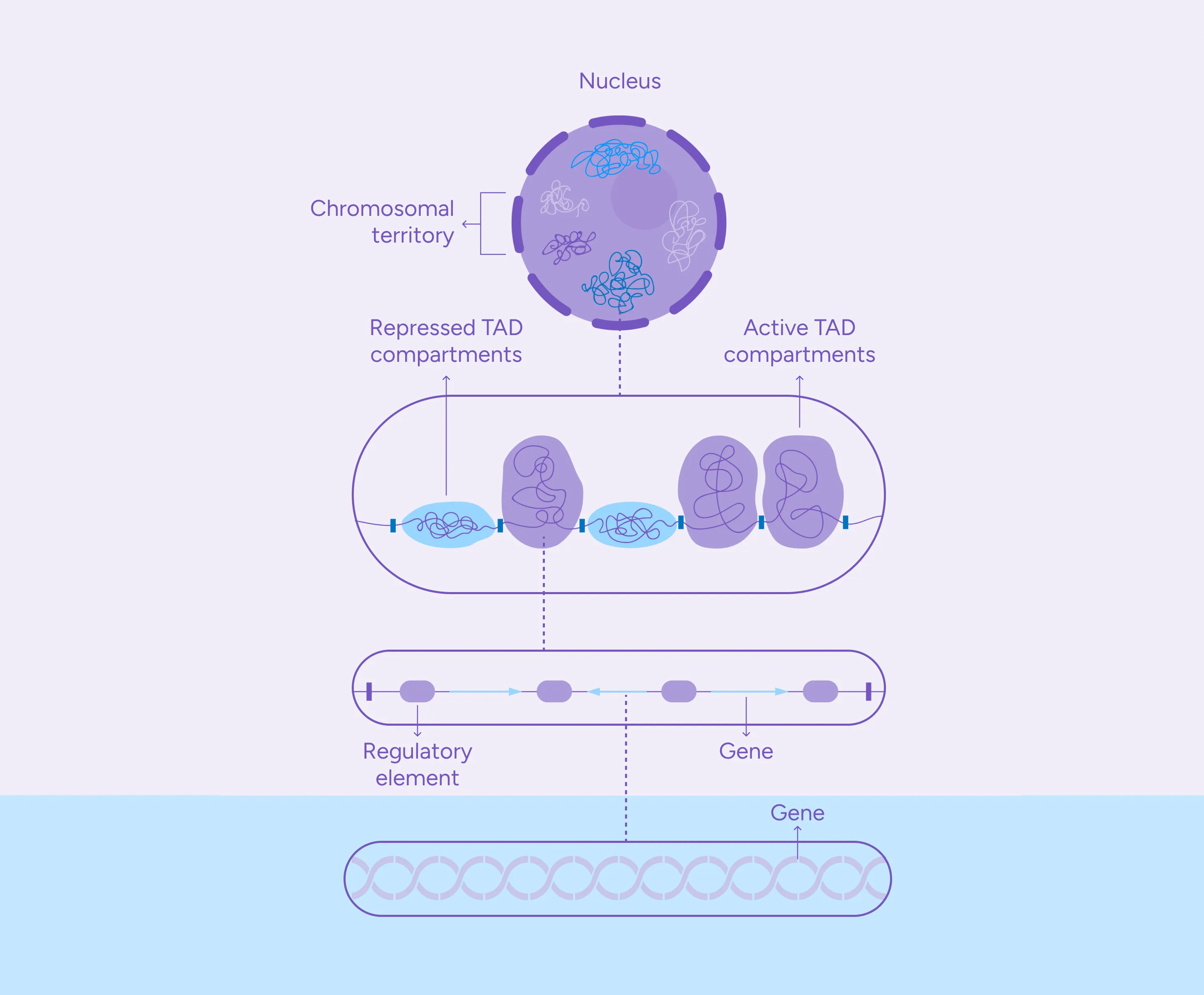 Helex | Technology