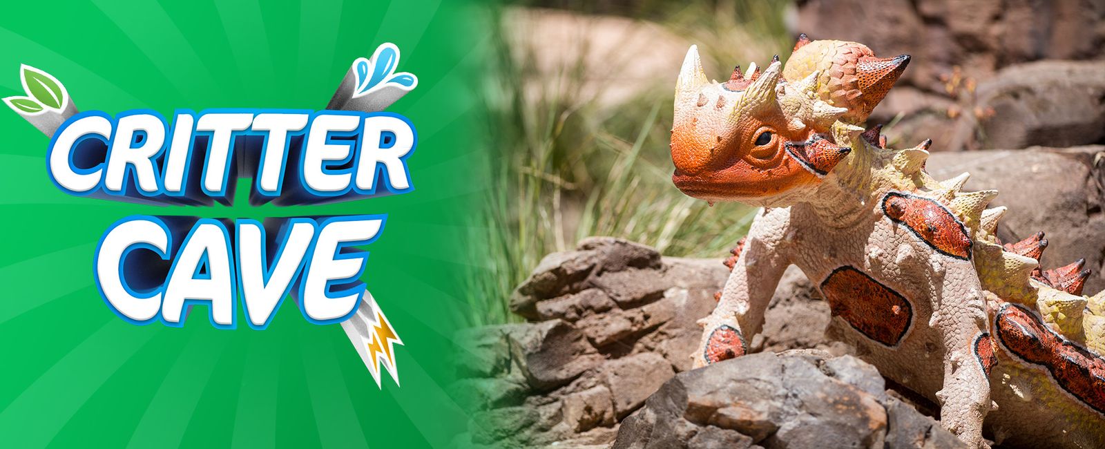 critter-cave-at-the-wildlife-park-gumbuya-world