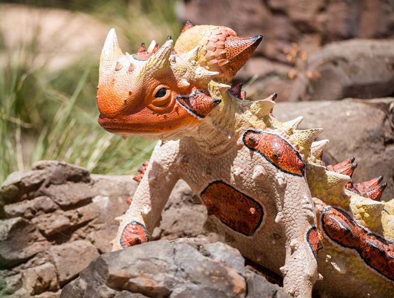 critter-cave-at-the-wildlife-park-gumbuya-world