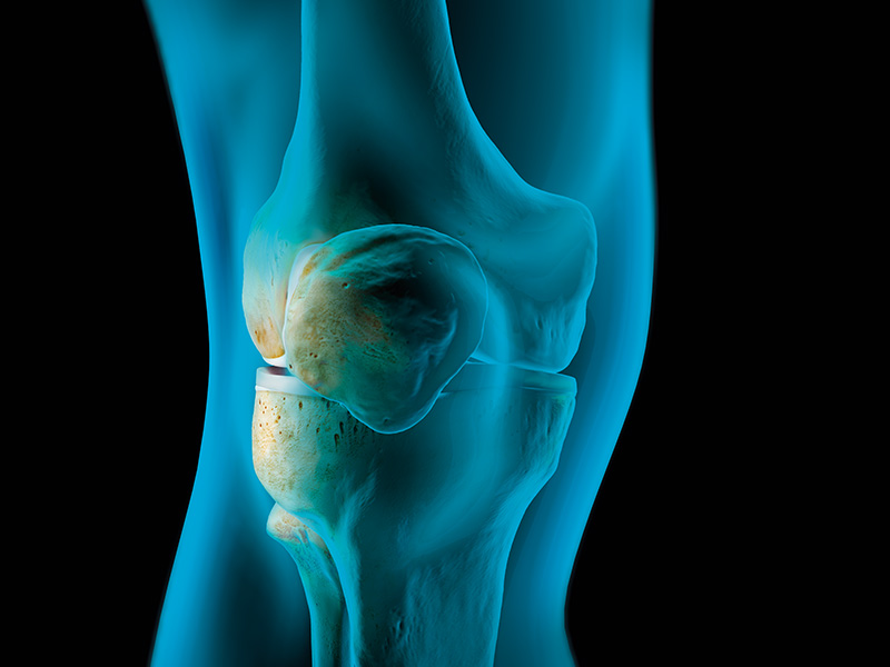 Medical Education - ArthroAcademy | Arthrex UK