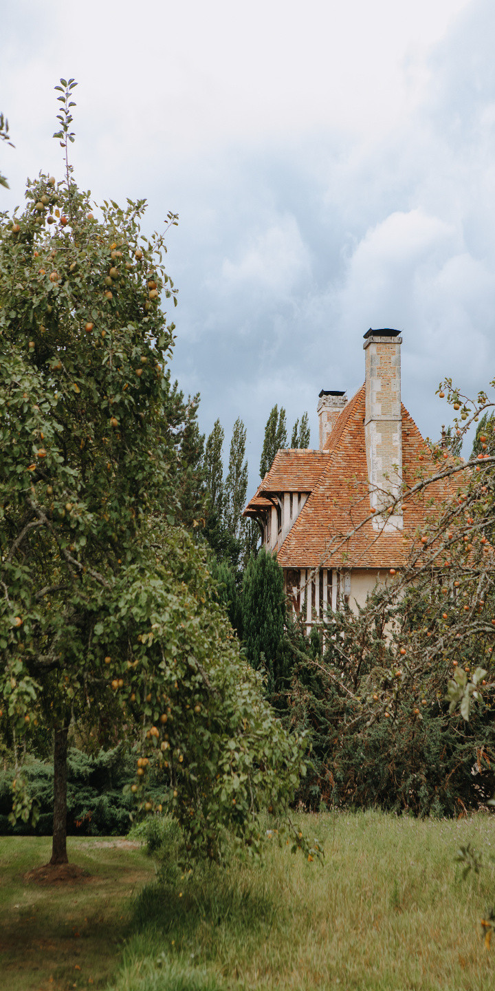 Le citronnier Hôtel Les Manoirs des Portes de Deauville