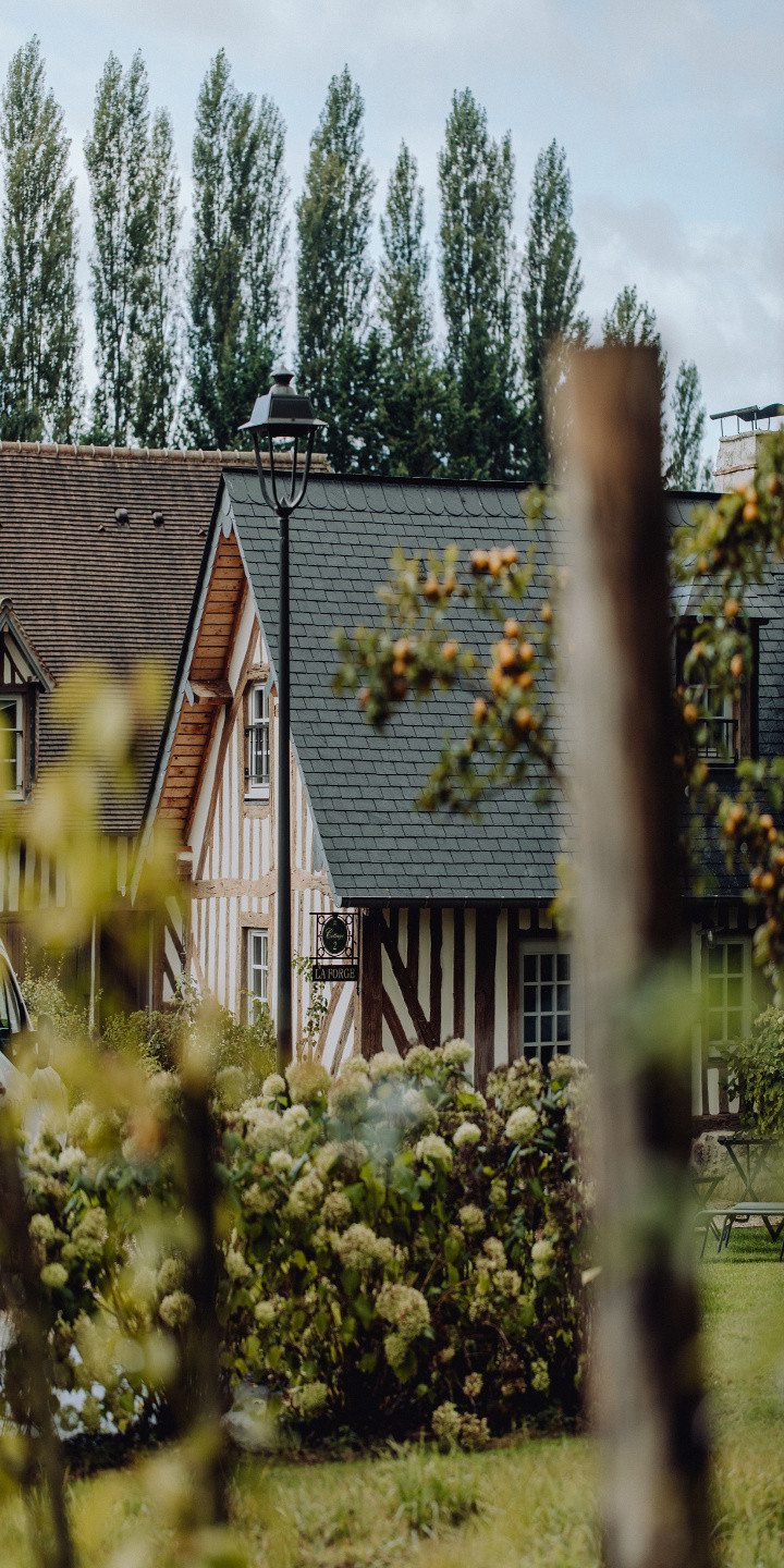 Jardin fleur Hôtel Les Manoirs des Portes de Deauville