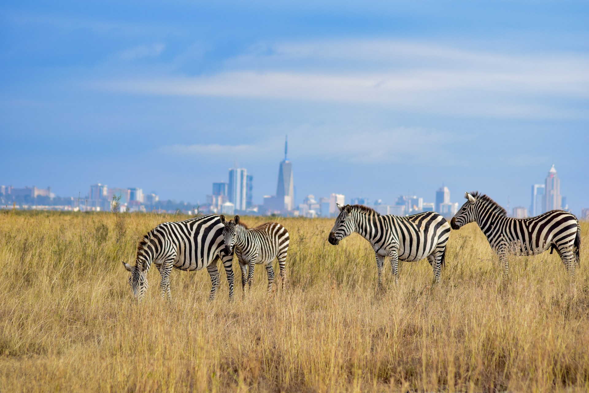 Nairobi Digital Nomad Travel Guide