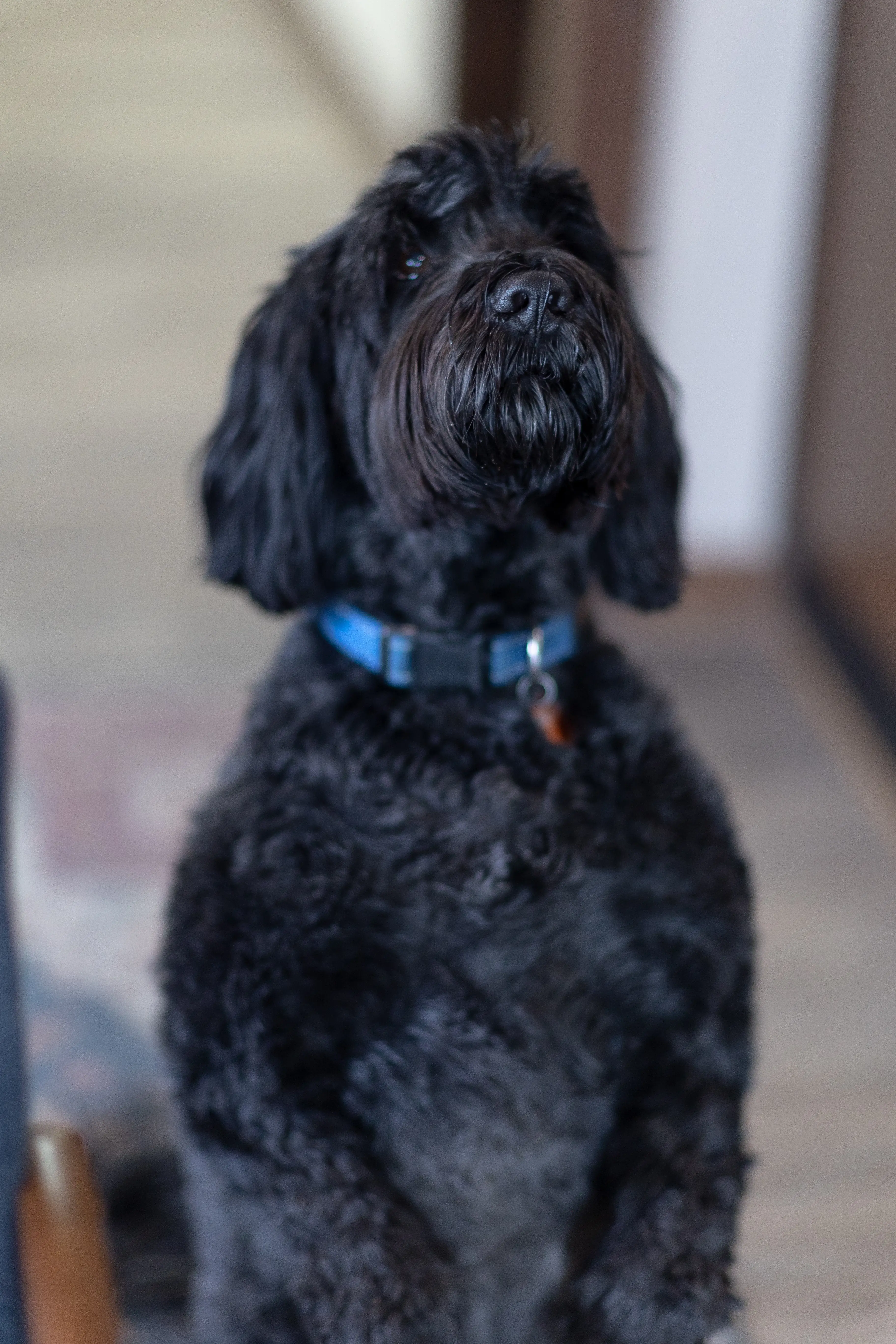 About us Cartwright Dental