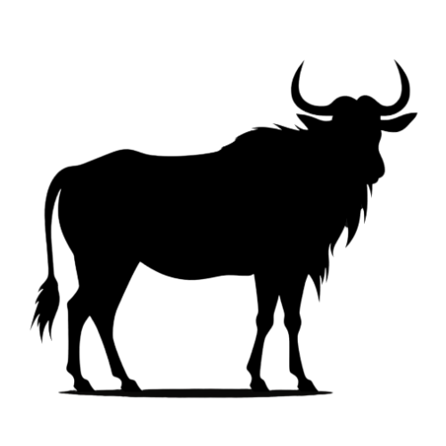 Wildebeest Book an Endorsed Hunt