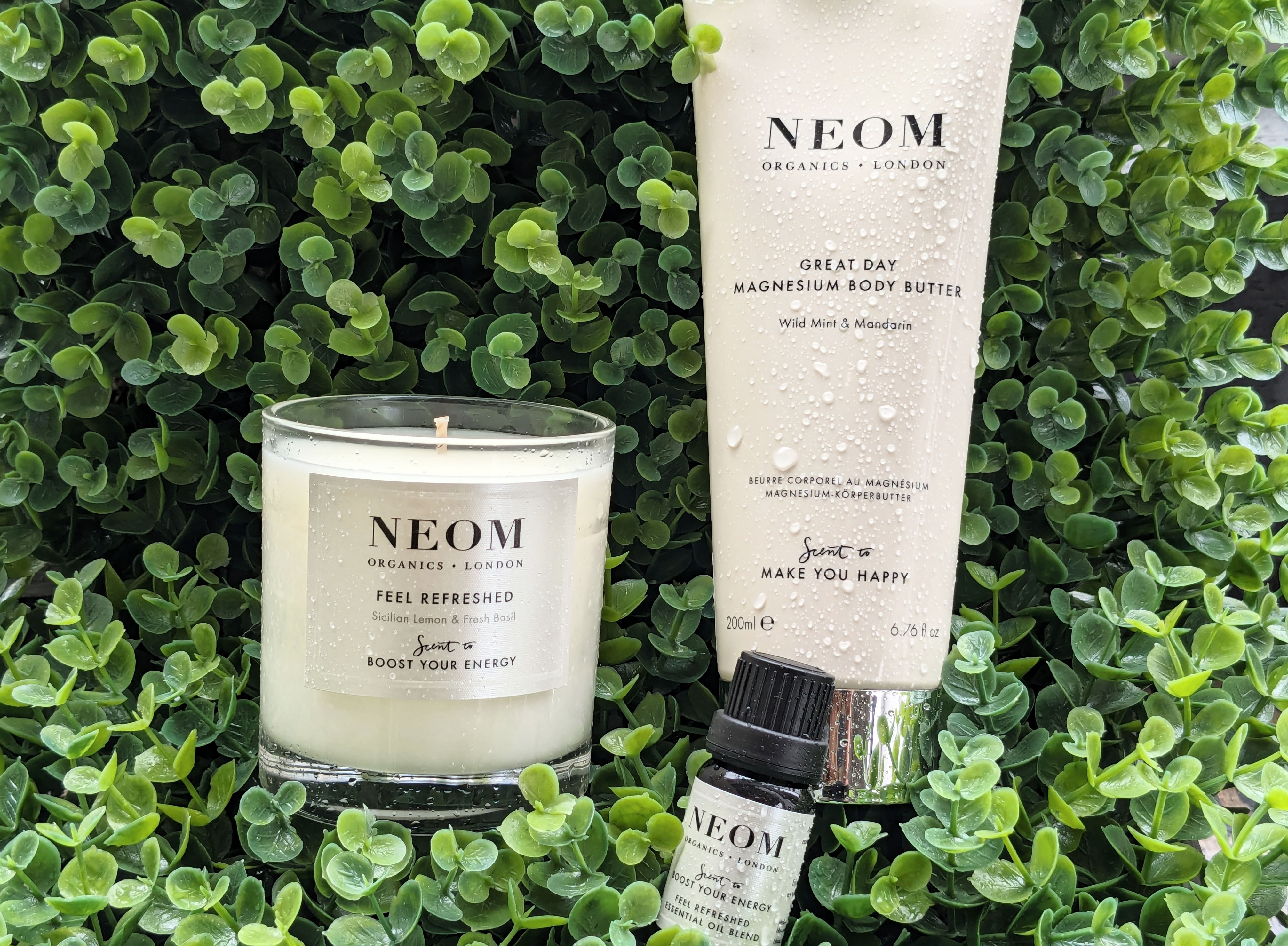 Renata's Organic Skincare in Park Ridge, Illinois