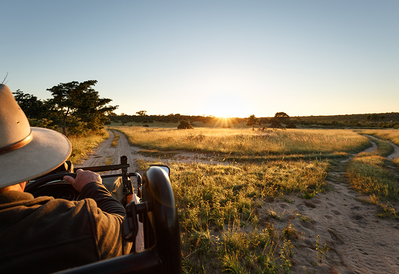 Game drives in the Kruger National Park