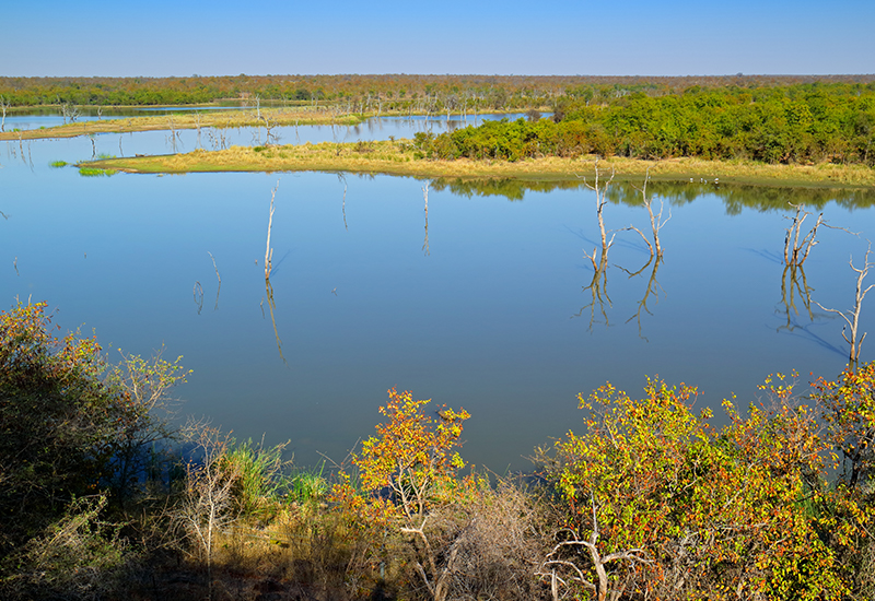 Pioneer Dam at Mopani Rest Camp 