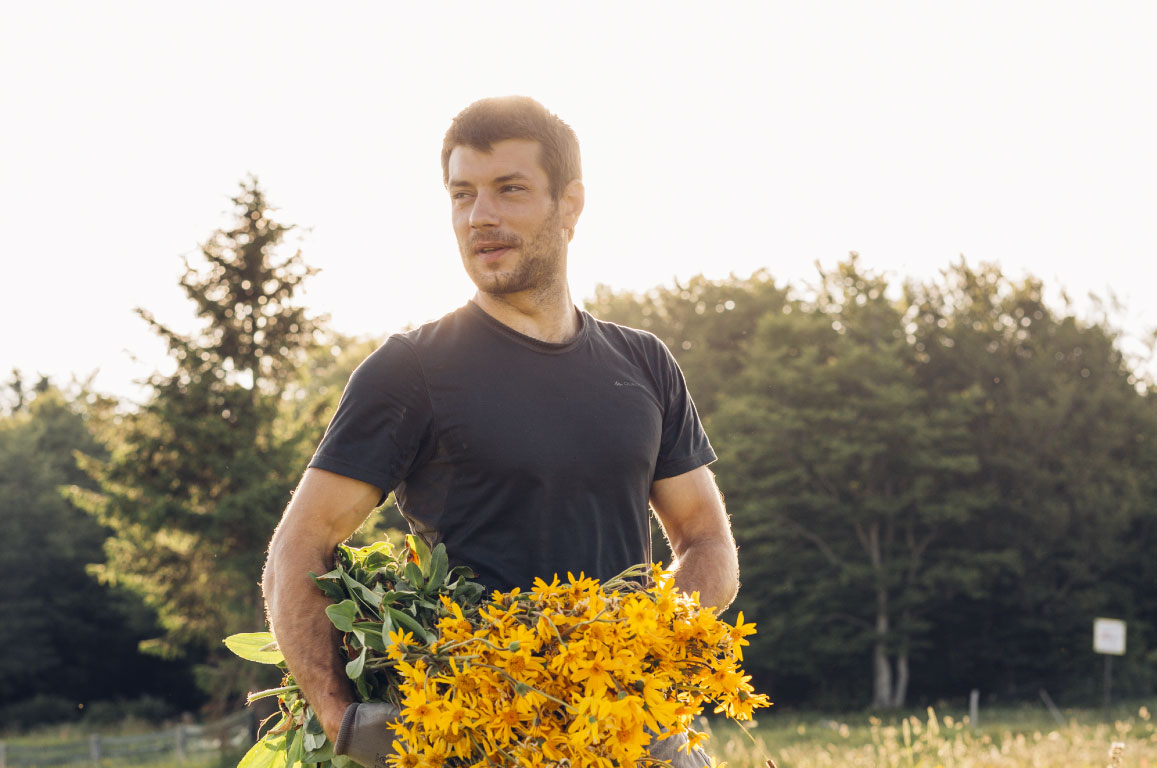 Ingredients Found in Homeopathic Medicines and How They Are Made