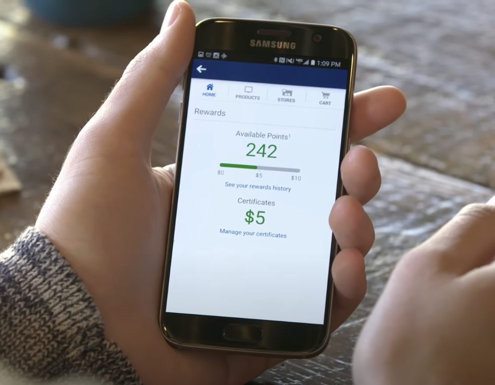 loyalty programs 10 successful examples (2024)