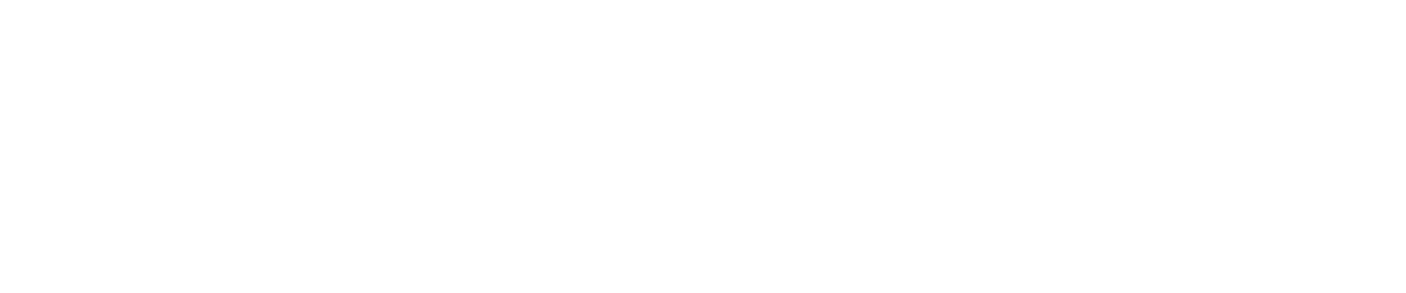 Edison Interactive Logo