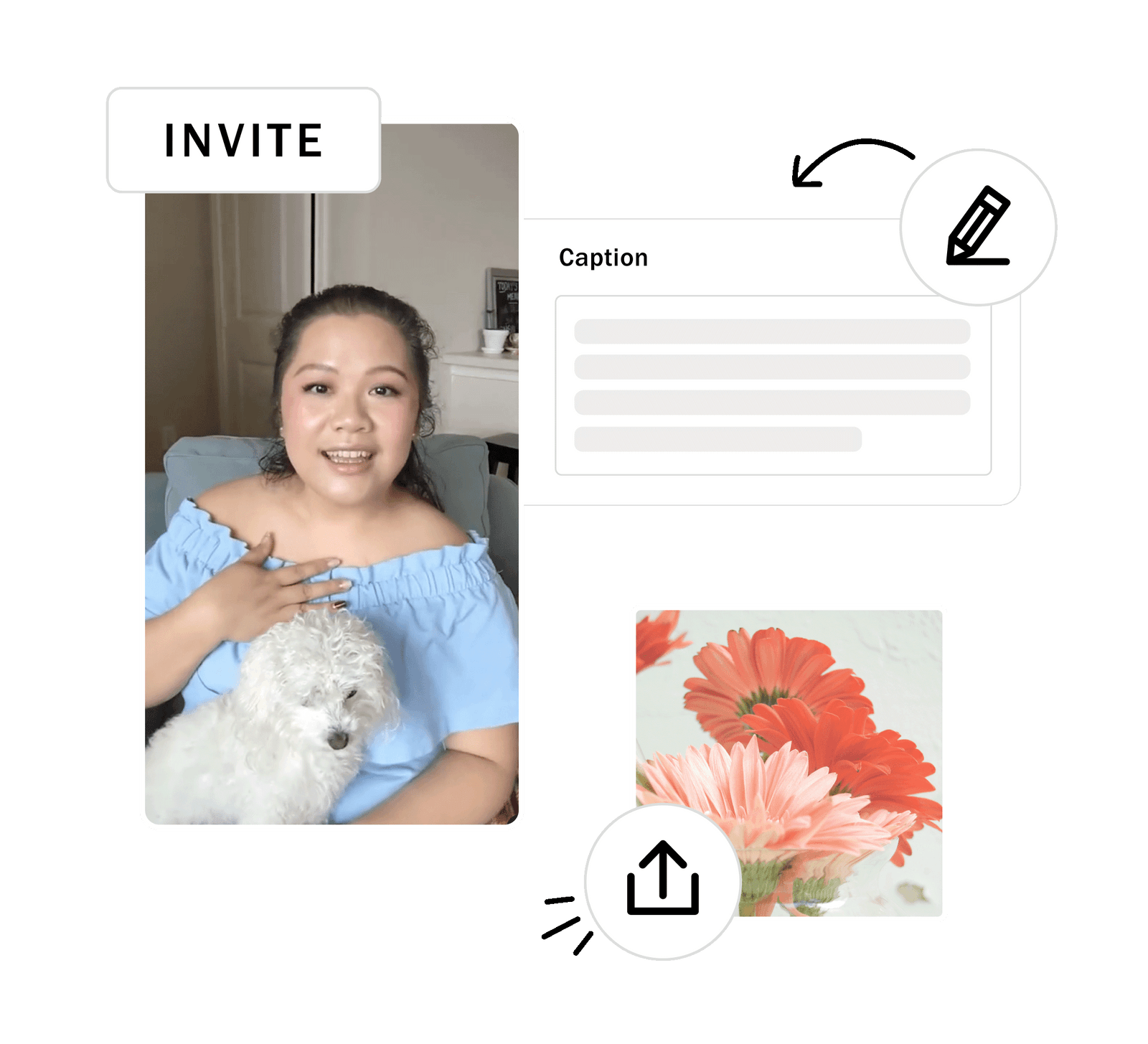 Crossposting Tool for Social Media PLANOLY