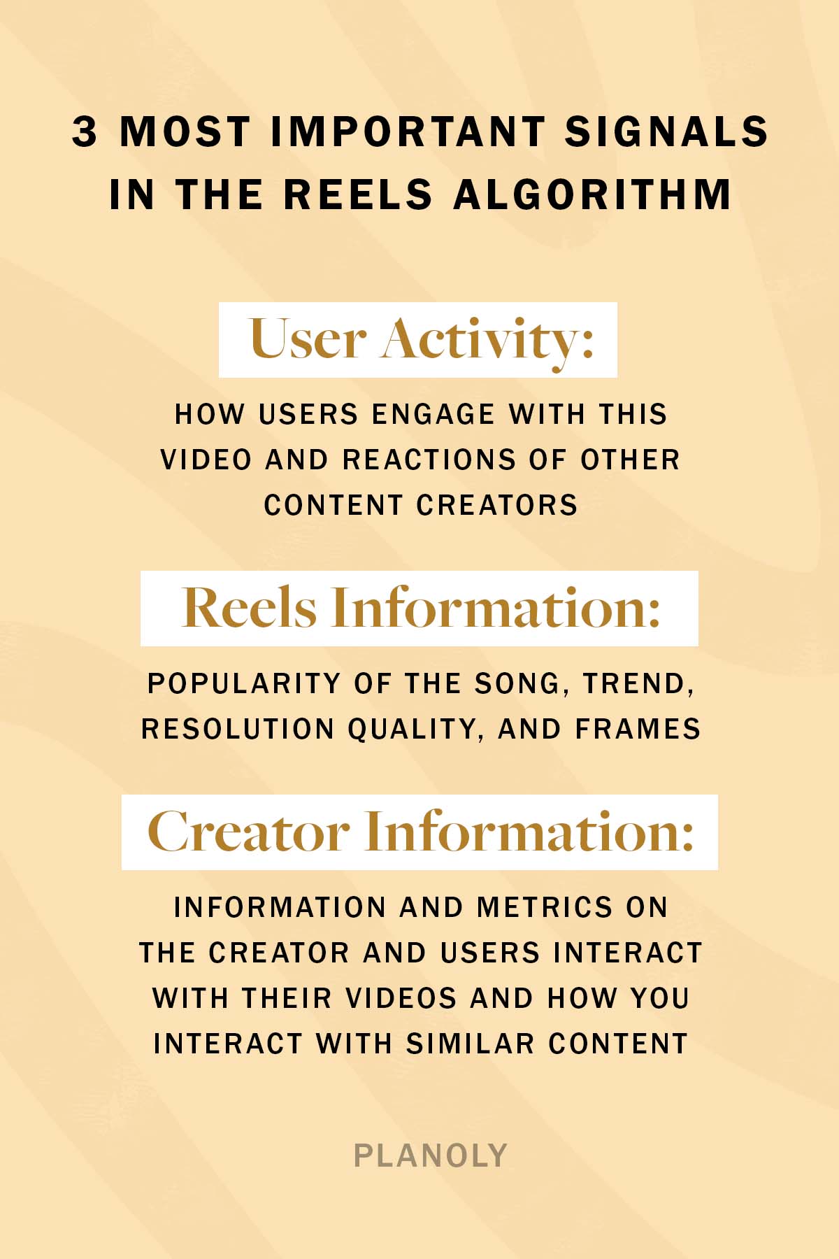 The Reels Algorithm: How to Use Reels on Instagram