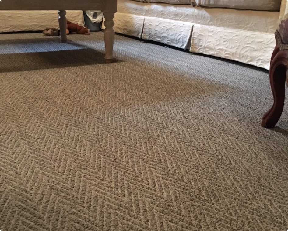 Carpet Solution in Bellevue, WA