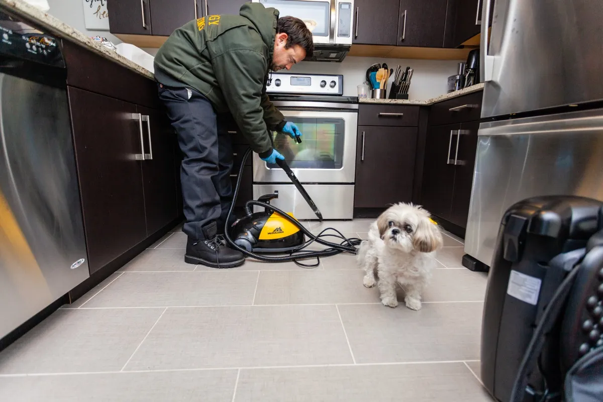 Exterminator Near Me Ecology Exterminating