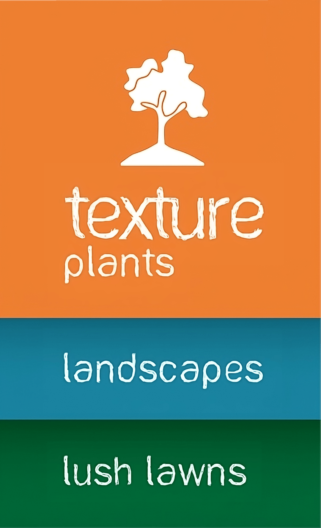 View of Texture Plants | Exotic Plants For Your Dream Home