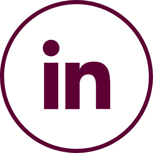 icône linkedin