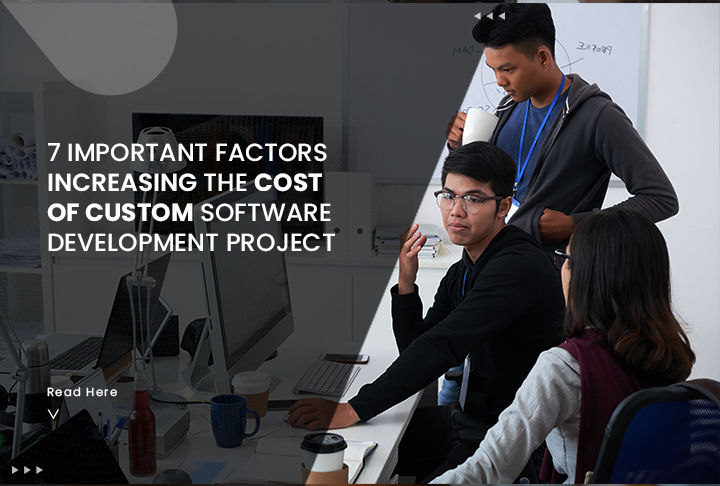 7 Important Factors Increasing the Cost of Custom Software Development Project