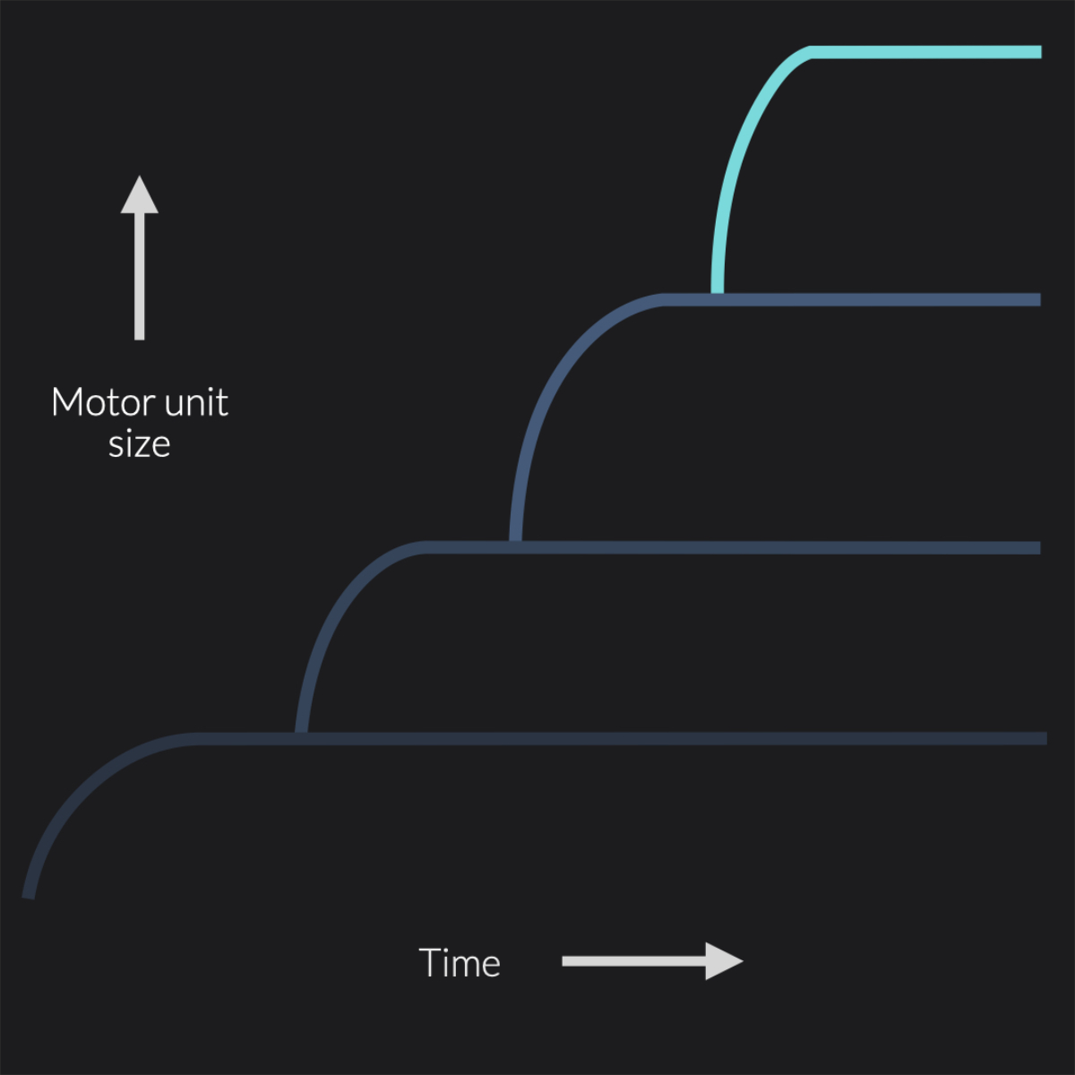 Henneman's Size Principle - Make huge strength & power gains