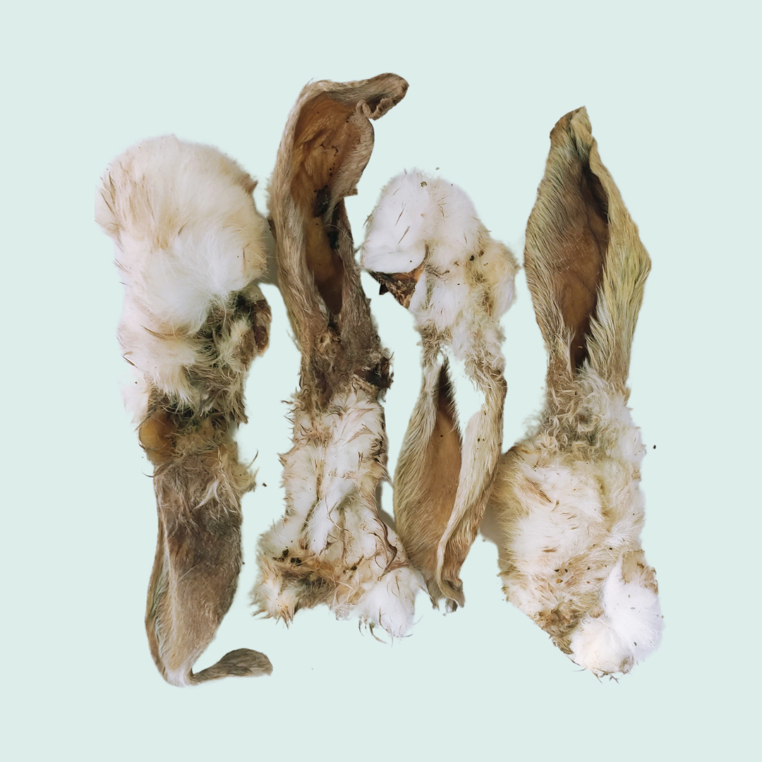 80g Hairy Rabbit Ears | Penny & Co Dog Essentials