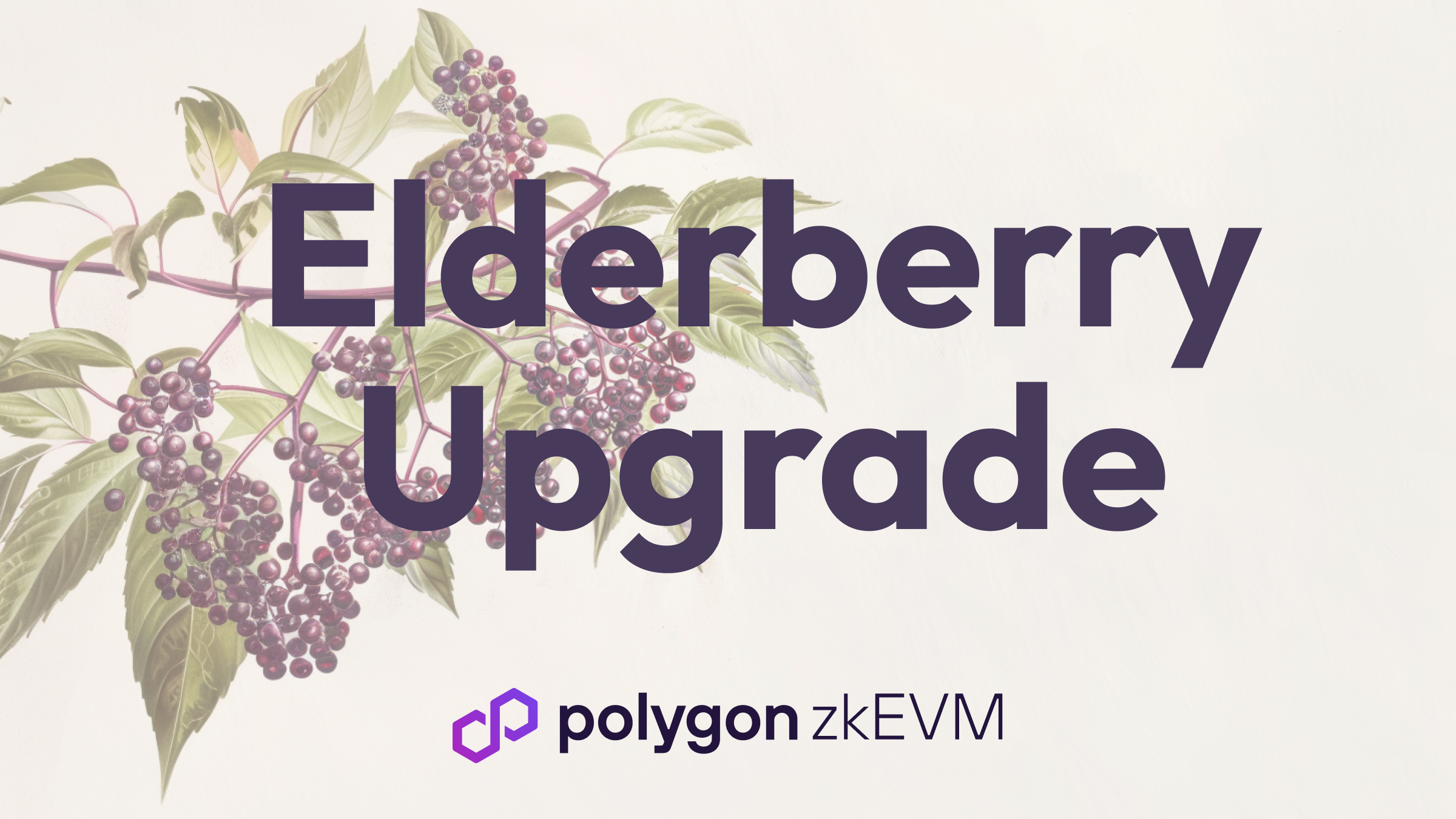 The Elderberry Upgrade