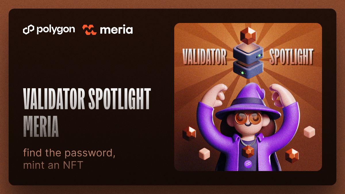 Polygon PoS Validator Spotlight: Meria