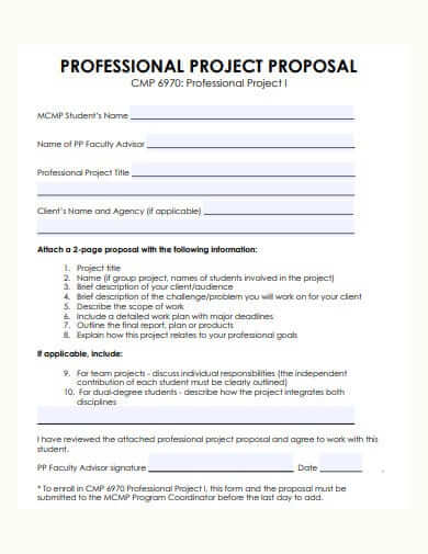 Professional Proposal Template Sample
