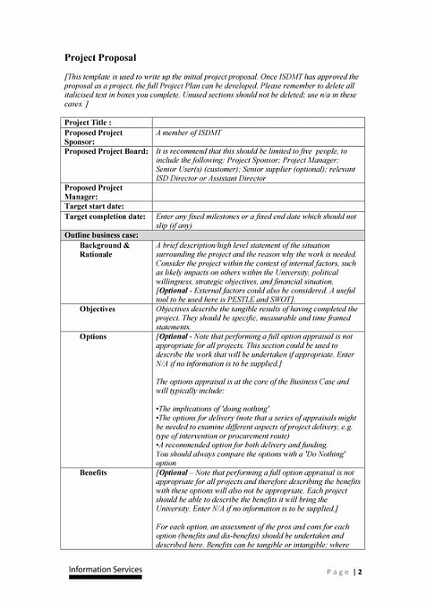 Professional Proposal Template Example