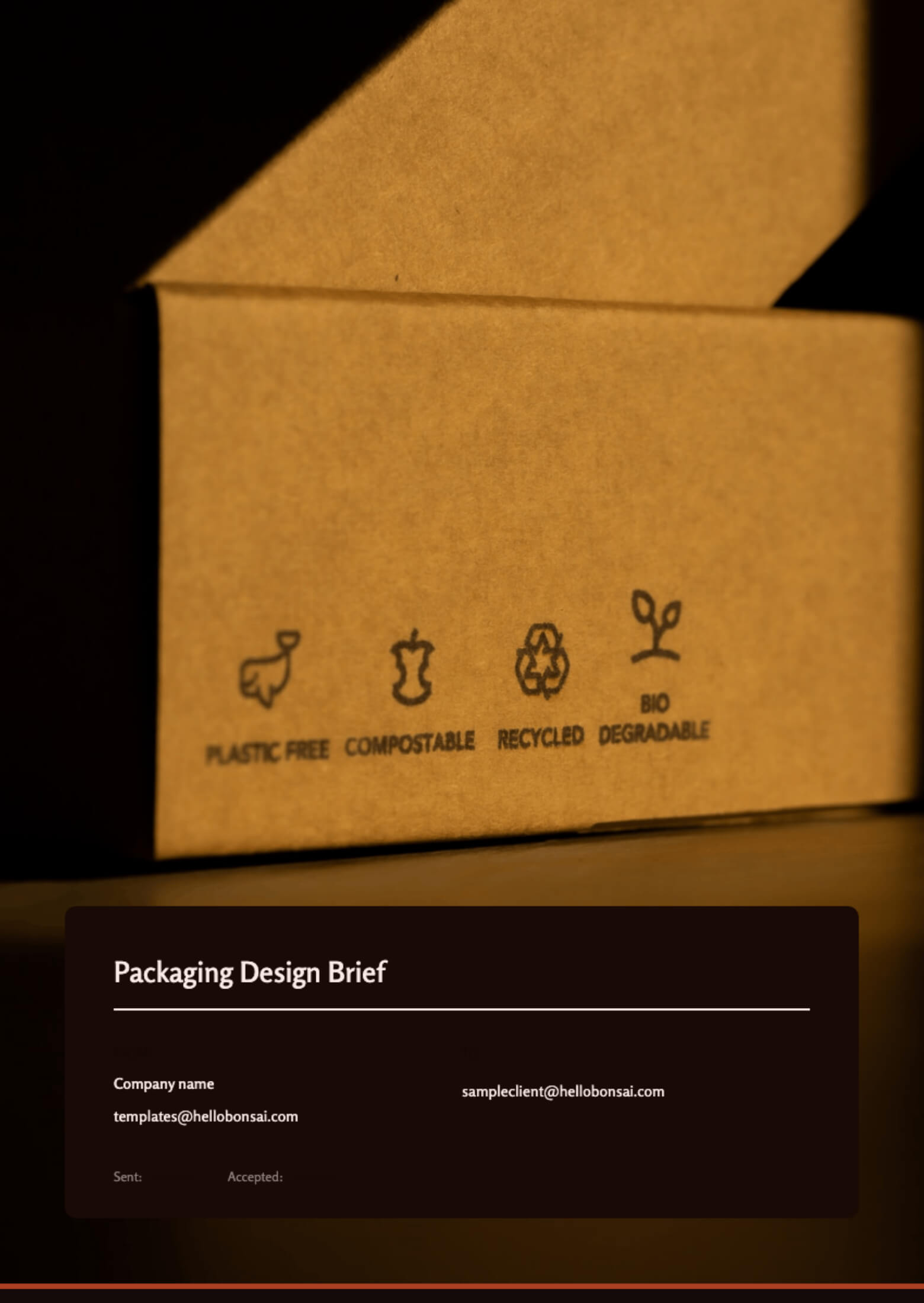 Free Packaging Design Brief Bonsai