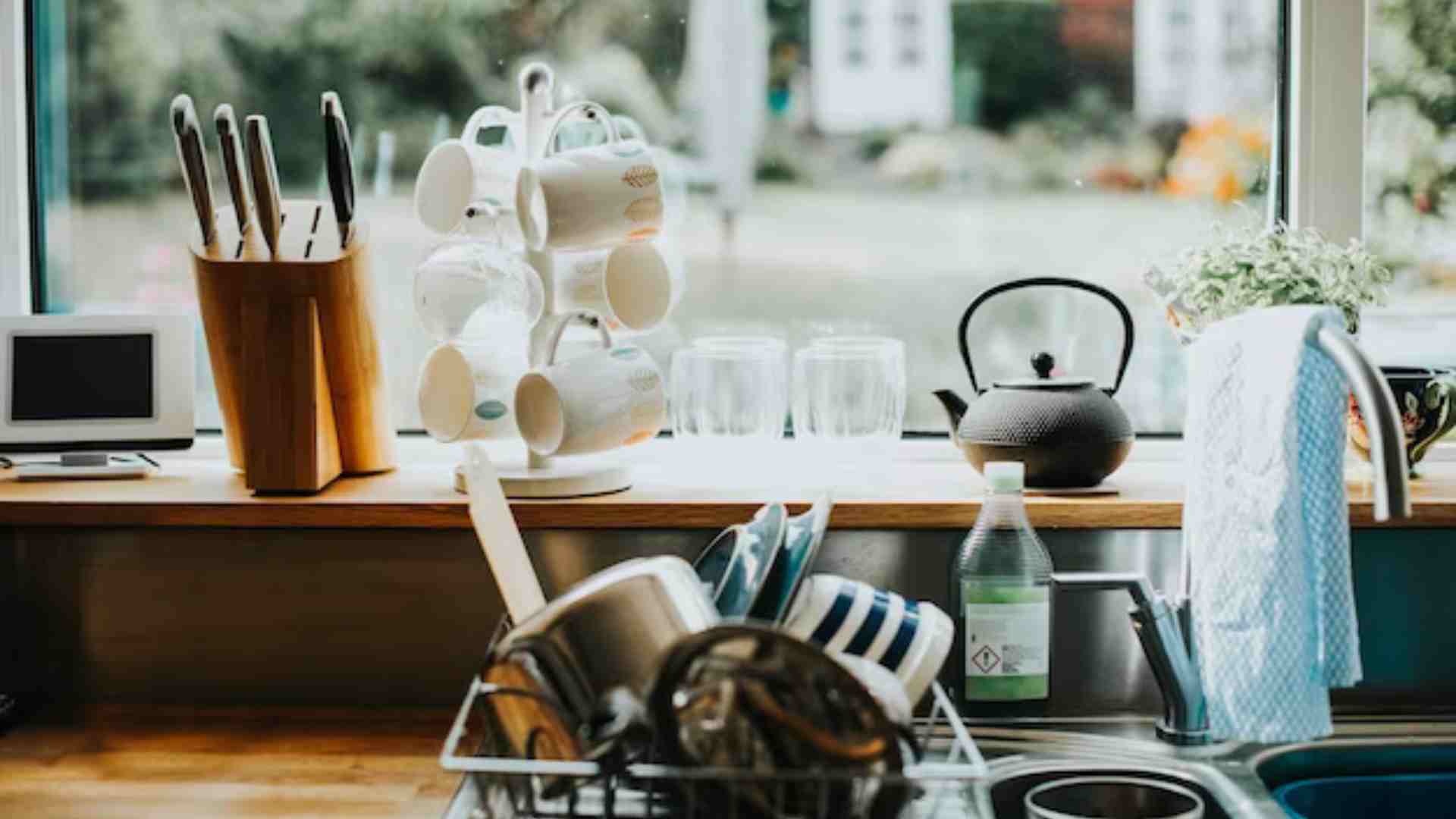 HSN Code 812 AllInclusive Guide on Fruits and Nuts