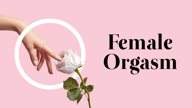 638bdccb2c86b75e7ccd6e2a FEO Keyvisual p 800