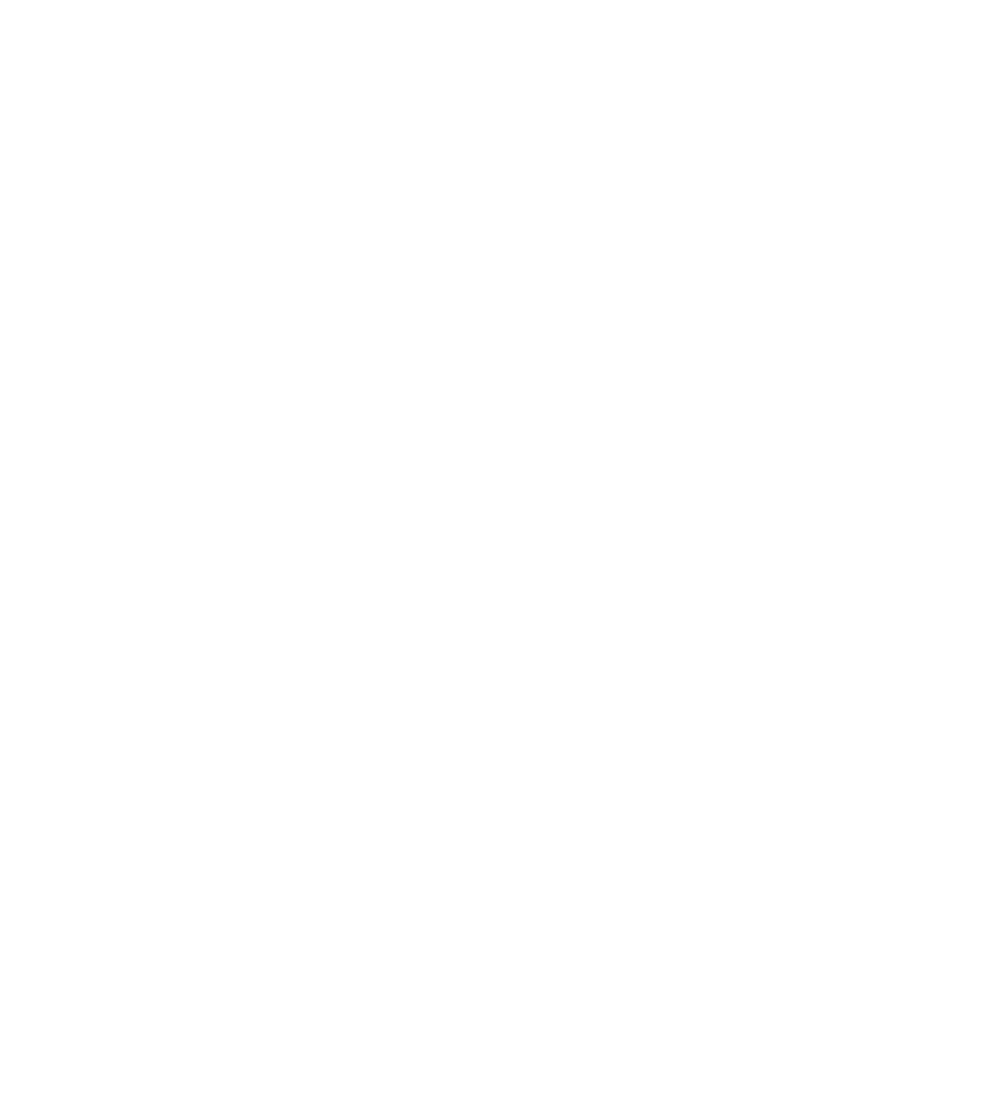 District Logo White