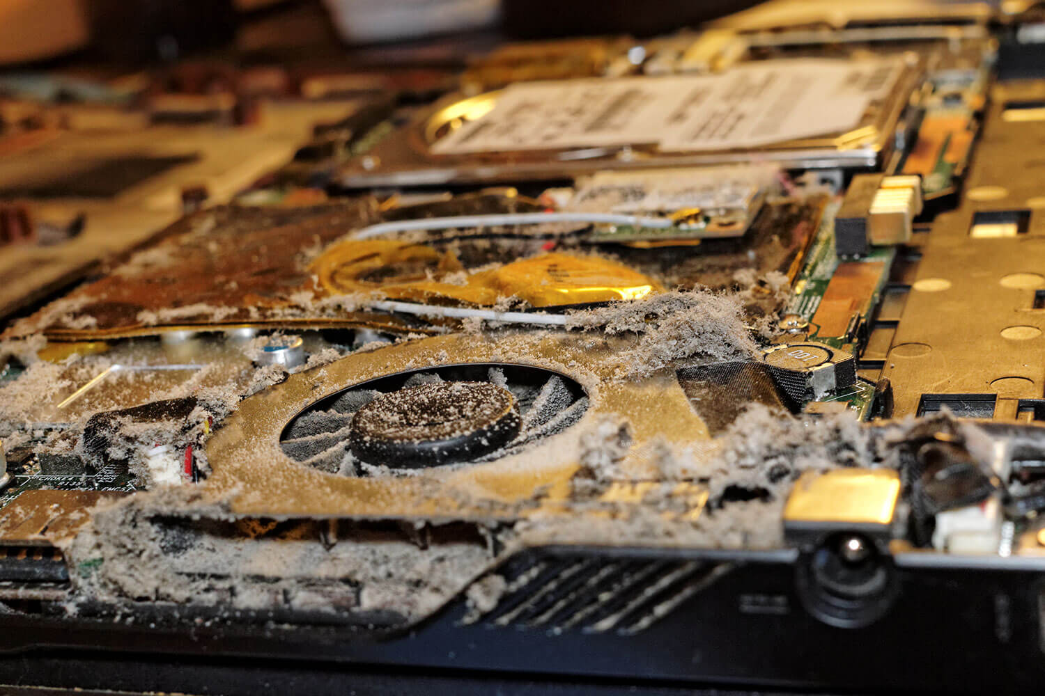 Really?!? I need to clean my laptop fan every few weeks or else? Blog Frore Systems