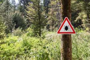 Picture of a sign warning about ticks in a wooded area.