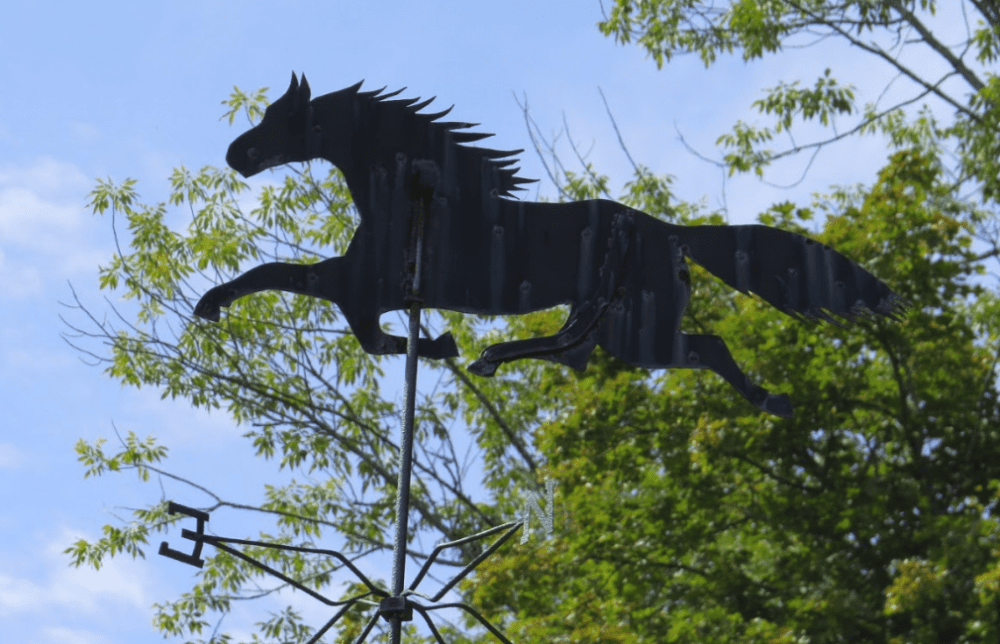 Cayuga Addiction Recovery Services in service in our community C.A.R.S.