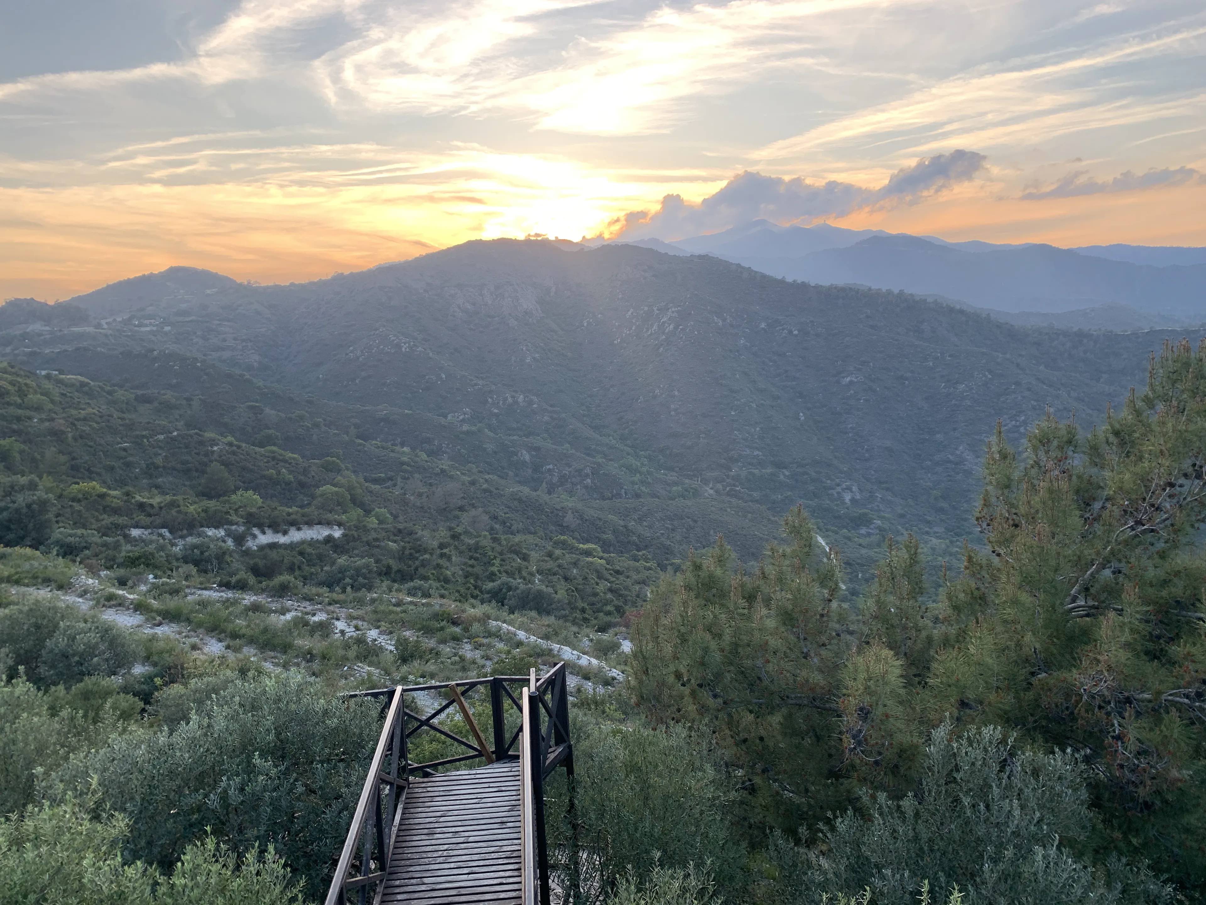 A Day Trip from Larnaca Sea, Olives, and Serenity