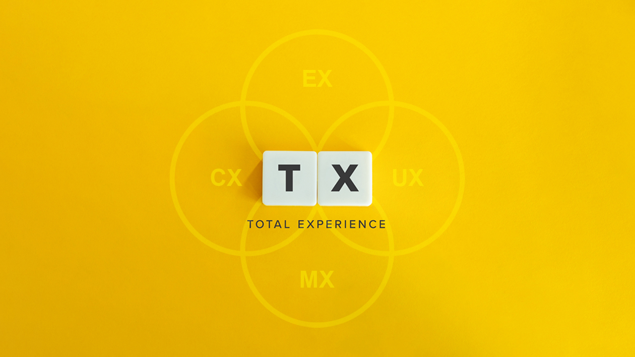 Kiandra Blog Total Experience